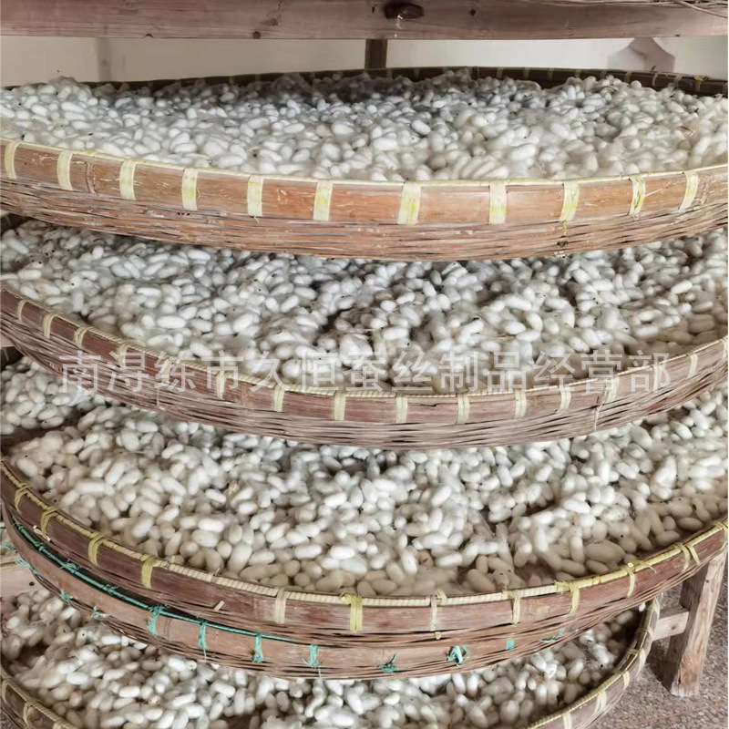 Mulberry silk white cocoon with chrysalis silk fan cocoon to make silk quilt wholesale and retail