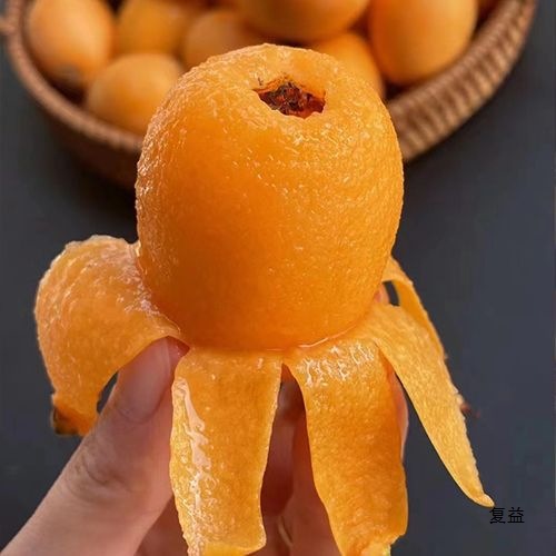 Yunnan Mengzi Loquat Fresh Net Weight for Pregnant Women, Seasonal Large Fruit, Freshly Picked and Grown Fruit, Free Shipping