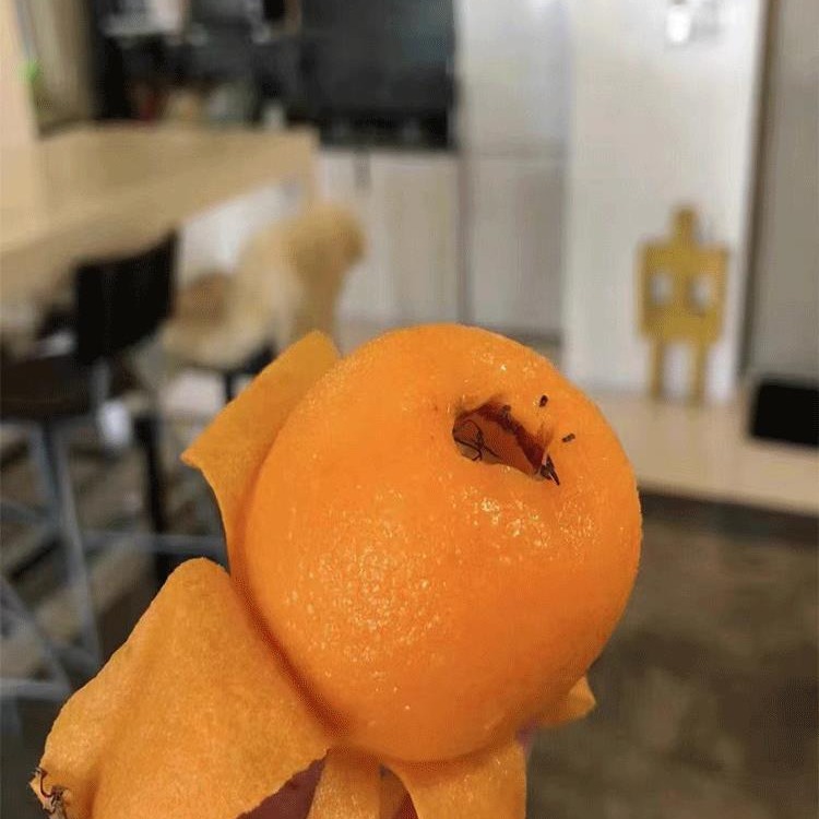 Свежие фрукты для беременных женщин, Сычуань, большие пятирублевые лонганы, сладкие лонганы, рис, легкие, Паньчжихуа, полный ящик, бесплатная доставка