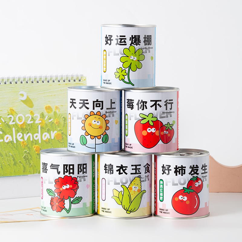 Online celebrity blessing potted green plant tomato seeds canned plant desktop creative children DIY gift factory wholesale