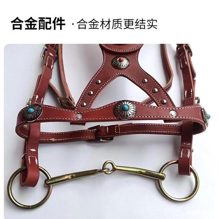 Horse Harness with Pure Cowhide Reins, Horse Leash, Horse Gear, Horse Tie, Horse Equipment, New Dragon Set with Metal Buckle, Elegant