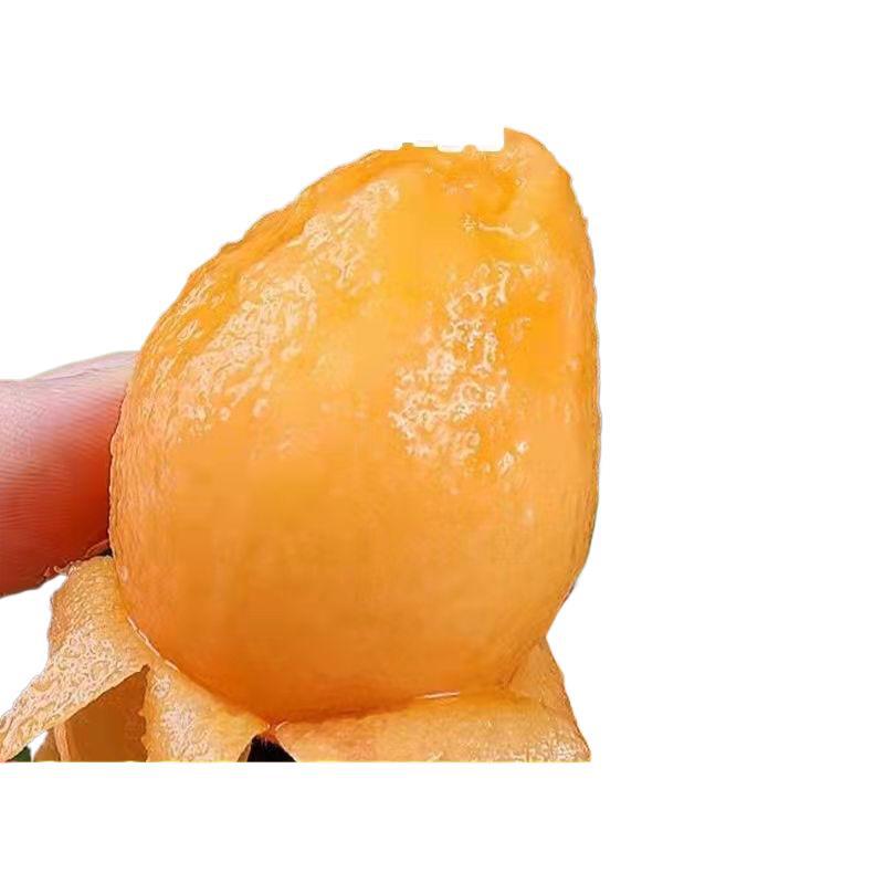 Fresh Seasonal Loquat Fruit from Sichuan High Mountains, Large Five-Star Sweet Loquats, Whole Box Wholesale