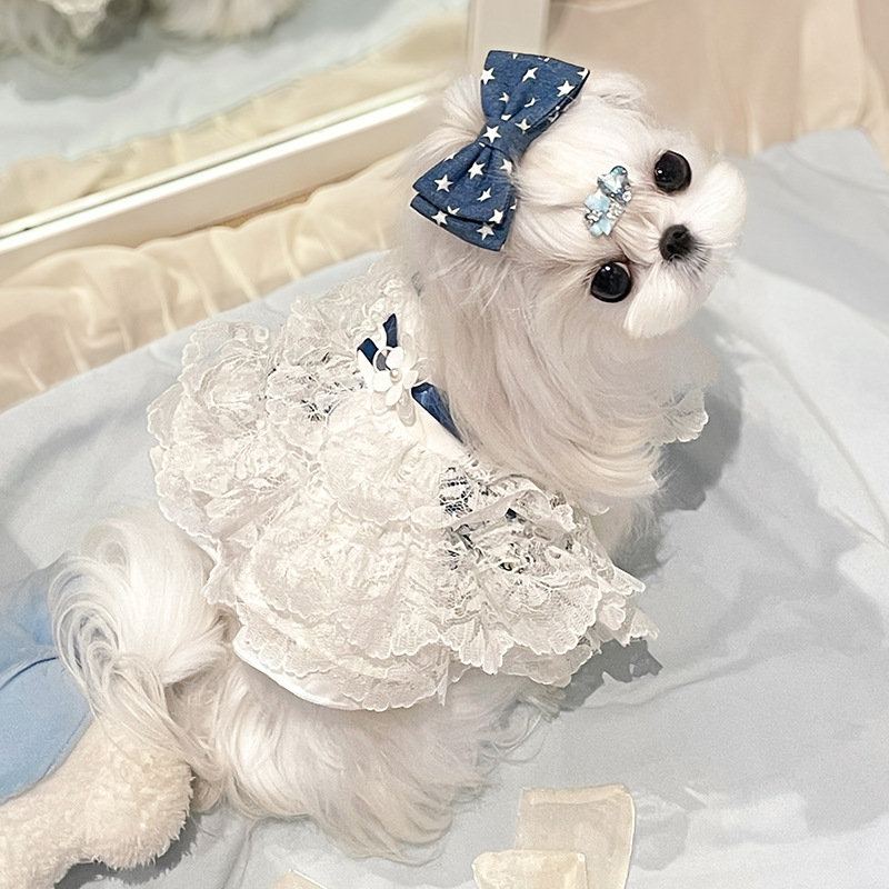 Amberani Pet Clothes Summer Anti-Shedding Puppy Skirt Small Size Dogs Yorkshire Dog Dress Princess Skirt