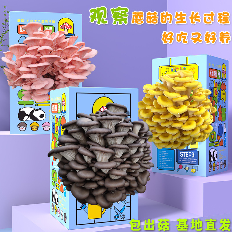 Подарочный набор грибов, пакет для посадки Pleurotus ostreatus, кукла съедобного гриба, зеленое растение, коробка для разведения в детском саду.
