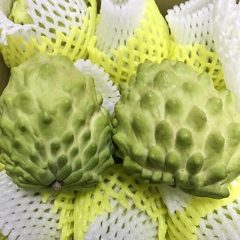 Sf Express Gift Box 2.5kg Taiwan Milk Big Eye Pineapple Saka Fruit Guava Buddha Head Large Fruit Fresh Fruit Free Shipping
