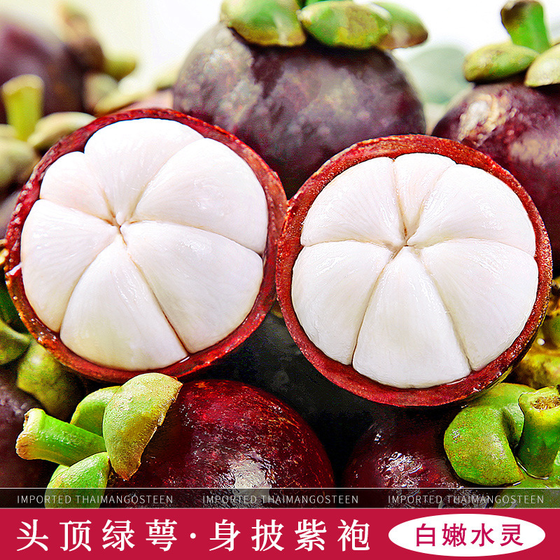 Taishan Bamboo Fresh Large Fruits Whole Box 2.5kg Seasonal Fruits with Sf Express Free Shipping Seasonal Large Fruits Oil Bamboo and Arborvitae 6A