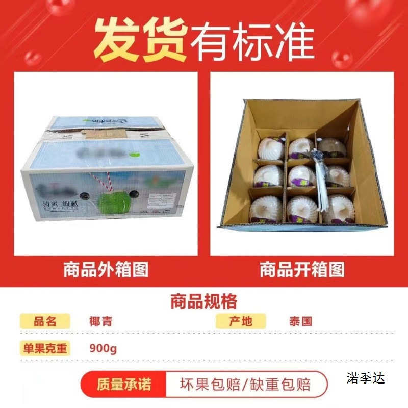 Thai Coconut Green 9 Large Fruit Perfume Fresh Coconut Wholesale Seasonal Fruits for Pregnant Women