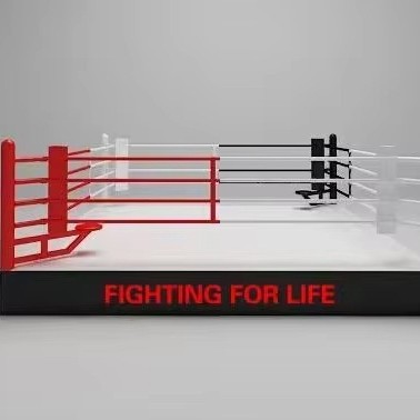 High Quality Professional Standard Boxing Ring Mma Cage Wrestling Cage Training Boxing Ring