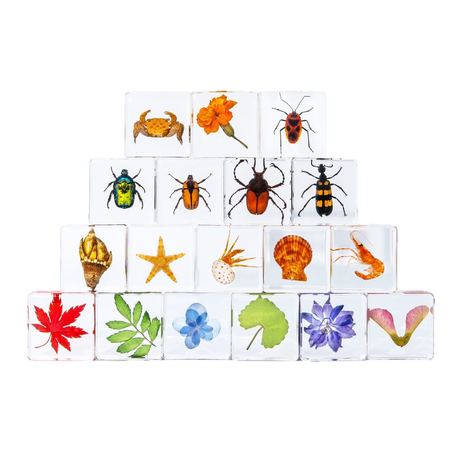 Strength Factory Customized Real Insect Specimen Children's Research Toys Crystal Glue Drops Resin Ornaments Spider Scorpion