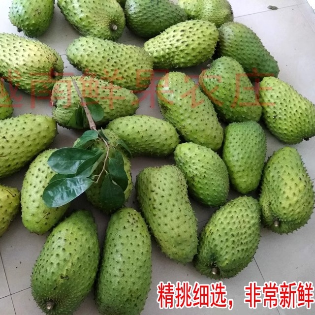 [Crown Store] Wild Thorn Fruit Annona Red Durian Tropical Fresh Fruit Red Cascarilla 3kg Free Shipping
