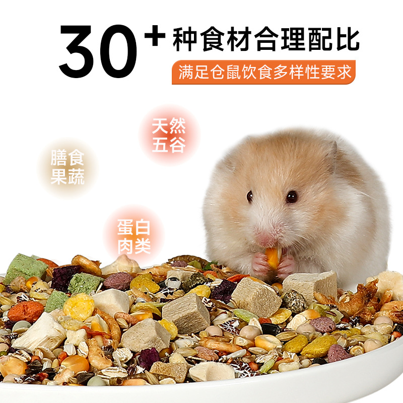 Yue Xiaomeng Hamster Food Golden Bear Special Food Nutrition Staple Food Grain Feed Snacks Supplies Dried Mealworms