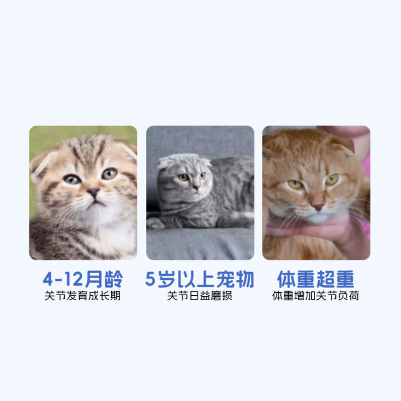 Puxinuo Shark Chondroitin Calcium Tablets for Dogs Small Dogs 200 Tablets Pet Dog Joint Nutrition Chondroitin