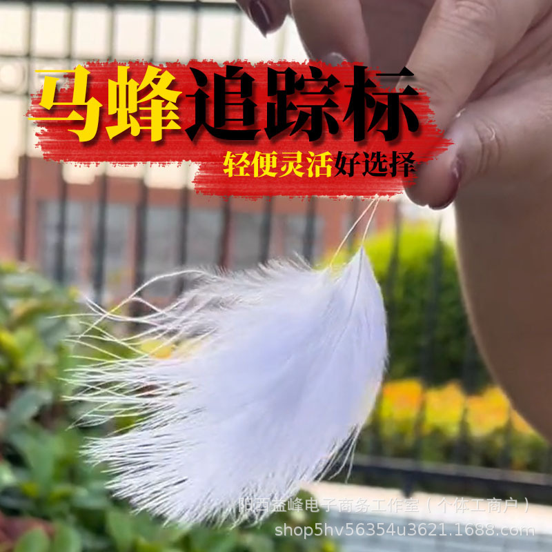 Wasp Bee Label Gold Ring Bee Label Bee Luring Label Wasp Special Wasp Bee Label Exclusive Automatic Bee Label Wholesale Price