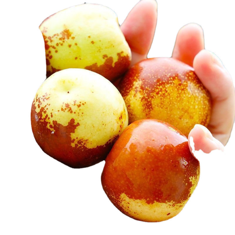 Shandong Zhanhua Winter Jujube Seasonal Fresh Fruit Large Crisp Sweet Super Green Red Wholesale Non-Dali Jin