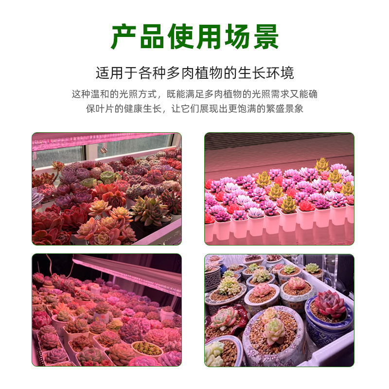 Plant fill light full spectrum T20 meat coloring plant growth light flowers and vegetables imitation sunlight plant light