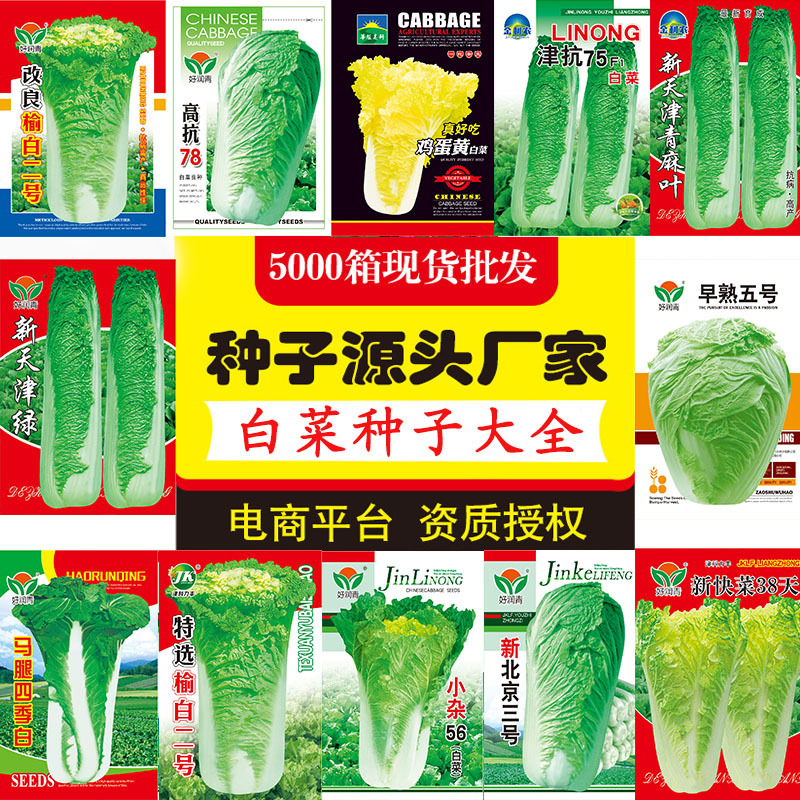 Оптовая продажа семян китайской капусты от производителя, семена осенней капусты, капуста, яичный желток, семена огненного феникса