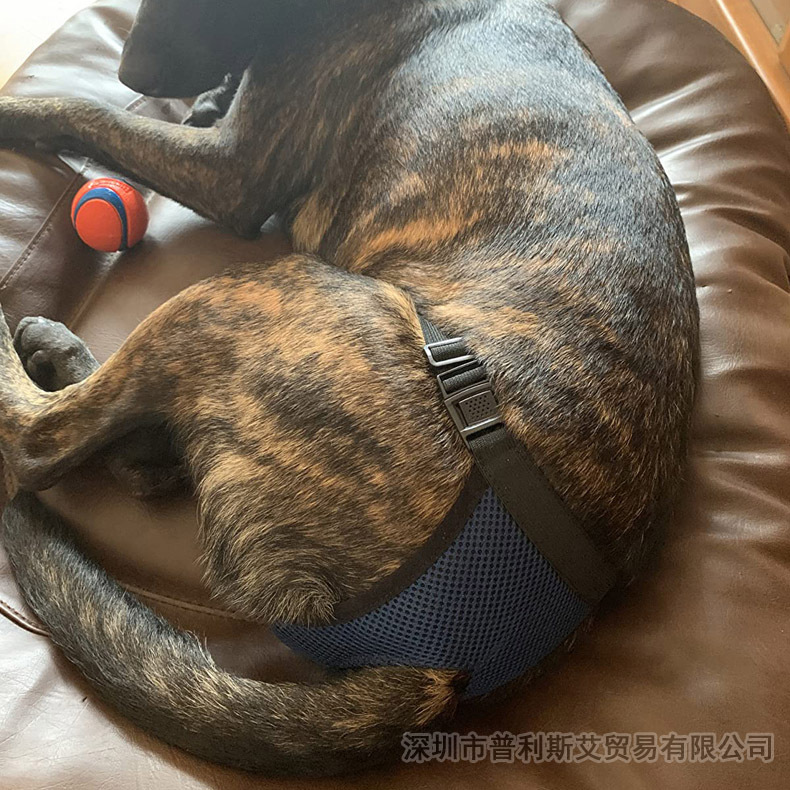 New Breathable bitch physiological pants menstrual pants pet dog replaceable aunt towel pants female dog anti-harassment sanitary pants