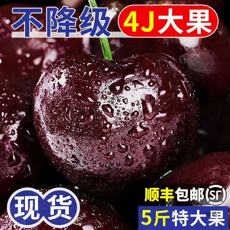 В наличии майские ранние вишни 2.5кг свежие фрукты из Яньтая, Шаньдун, целая коробка с бесплатной доставкой сезонная подарочная коробка