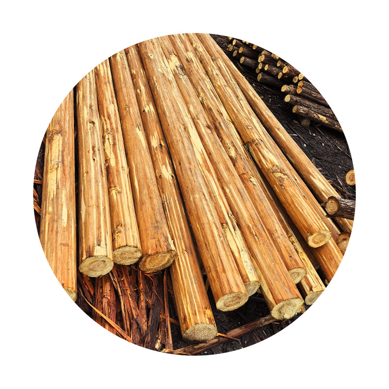 Peeled log wood processing piling fir pile pine pile packing box pallet wood forest farm multi-specification direct sales