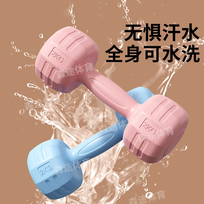 Household Dumbbell Fitness Equipment Integrated Rubber-Coated Cement Dumbbells for Men and Women to Increase Muscle for Children Yoga Dumbbells for Home Fitness