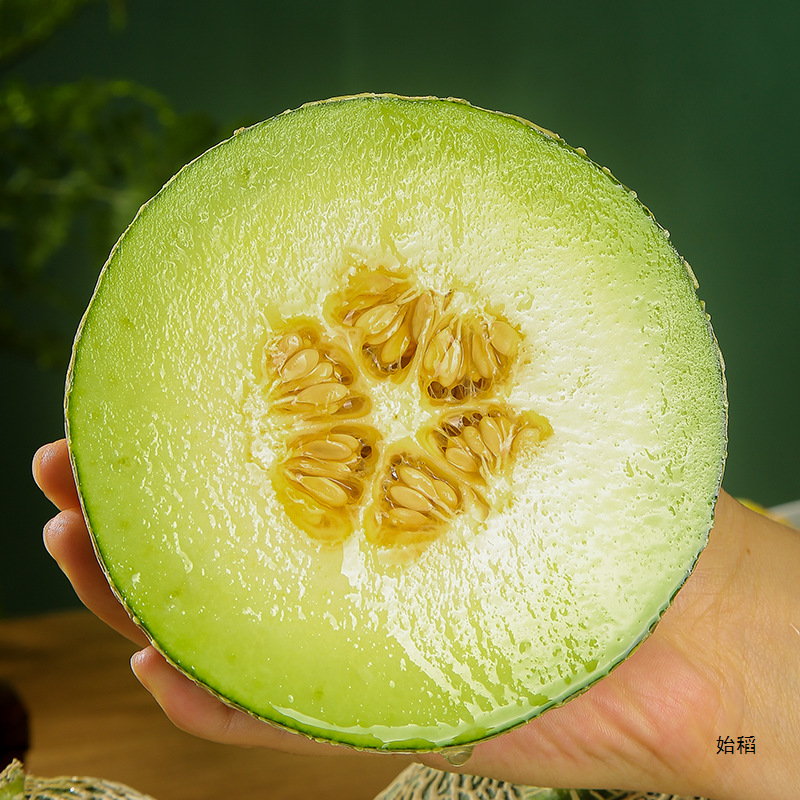 Hainan Meilong Honeydew Melon 4.5kg Cantaloupe Fresh Fruit Seasonal Exquisite Ice Cream Milky Plum Sweet