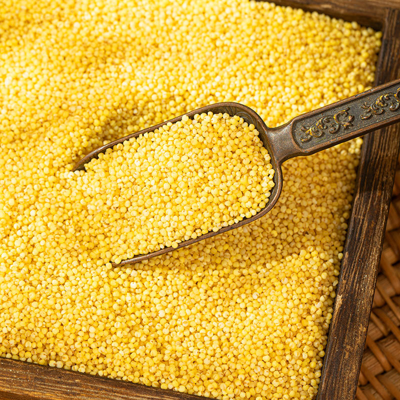 【Factory】Yellow Millet 500g Bulk Grains Rice Oil Shanxi Inner Mongolia Oem Processing Coarse Grains Oem