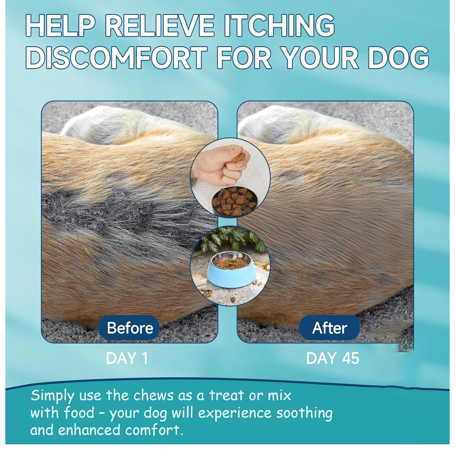 Amazon's Best-Selling Pet Calming Chewable Tablets Relieve Dog Stress and Promote Skin and Hair Growth Health Care Products