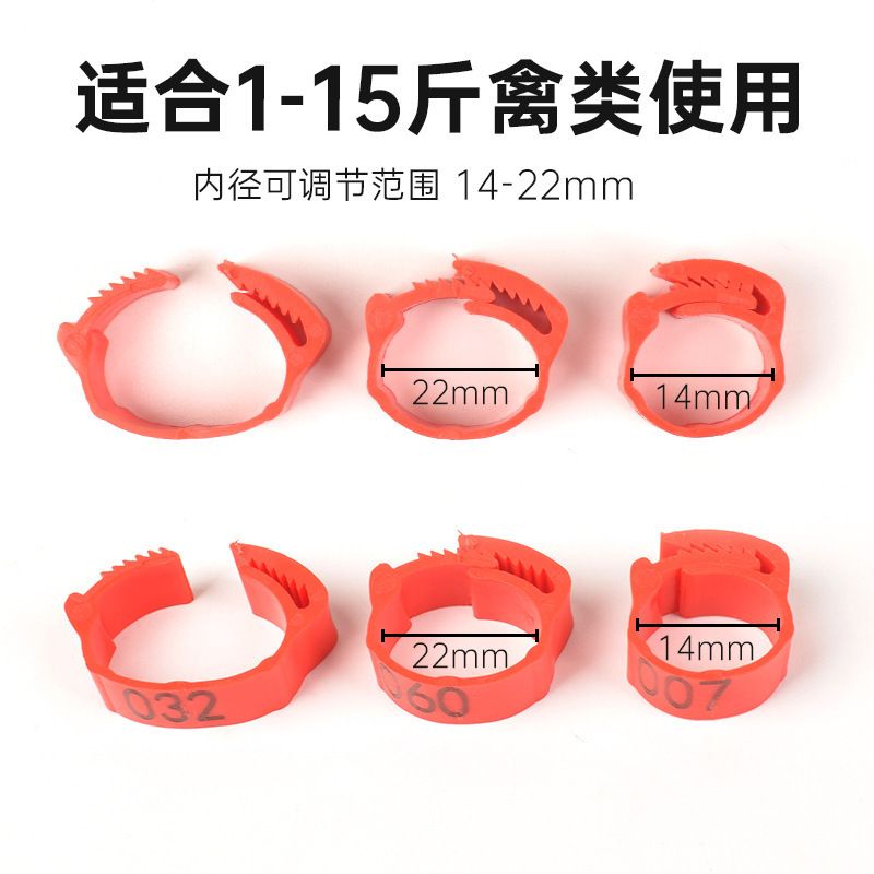 Chicken Ring Foot Ring Mark Ring Buckle Foot Cover Chicken Ring Chicken Foot Ring Animal Chicken Duck Mark Foot Ring Label Poultry