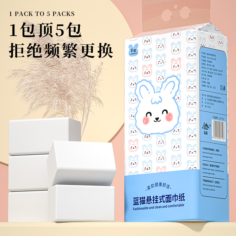 2 Packs of Hanging Toilet Paper Household Hand Towels Wettable Napkins Toilet Paper Wall Hanging Paper