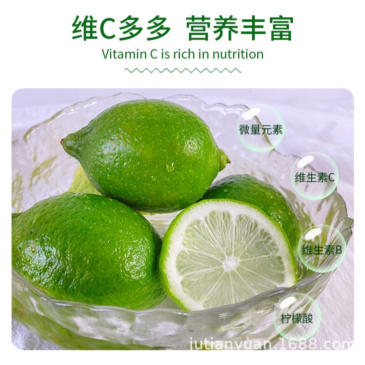 Guangdong Perfume Lemon Freshly Picked Lemon Milk Tea Shop Special First-Class Green Lemon Seasonal Wholesale Free Shipping Whole Box
