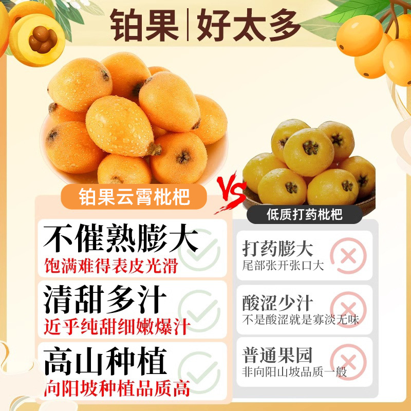 Sf Express Gift Box 2.5kg Zhangzhou Yunxiao Loquat Fresh Fruit Seasonal Fresh Whole Box Sweet Freshly Picked
