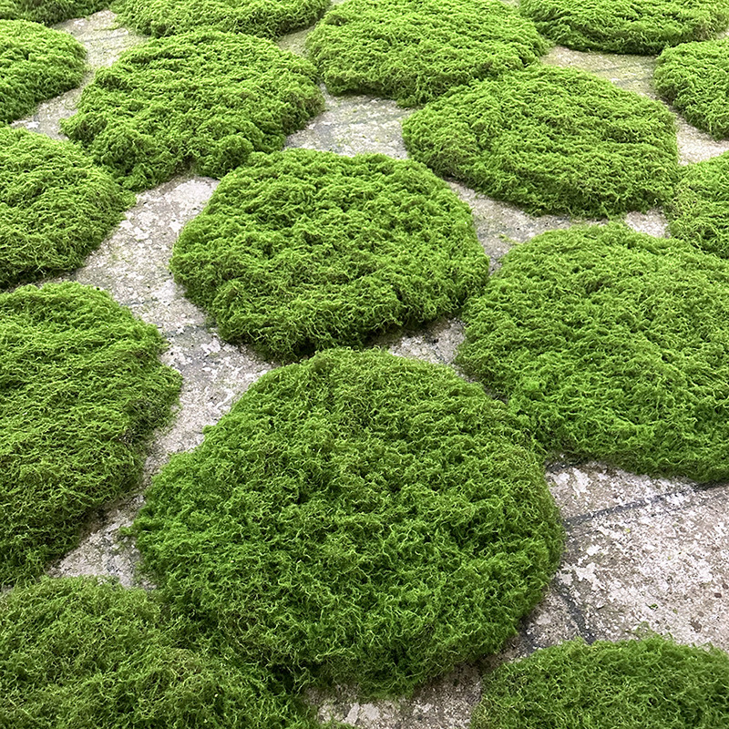 Simulation moss lawn moss indoor landscaping rice brown silk Moss turf irregular PE silk Moss turf wholesale