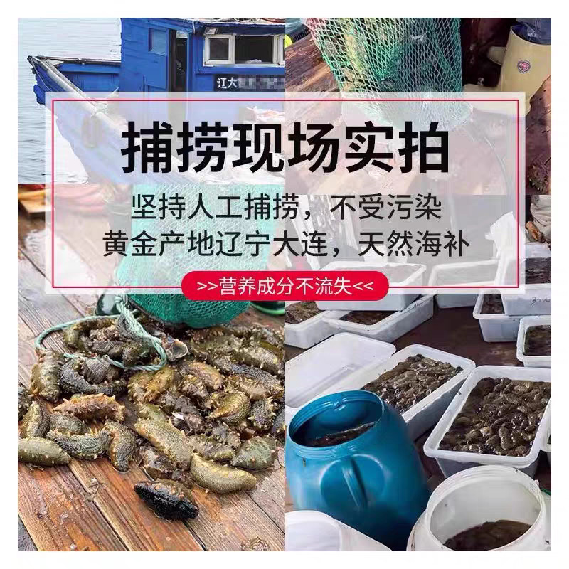 Dalian Light-Dried Sea Cucumber Special Price Small Sea Cucumber Dried Goods Bottom-Cultured Liaodong Sea Cucumber Buddha's Leap Sea Cucumber Non-Instant Sea Cucumber Gift Box