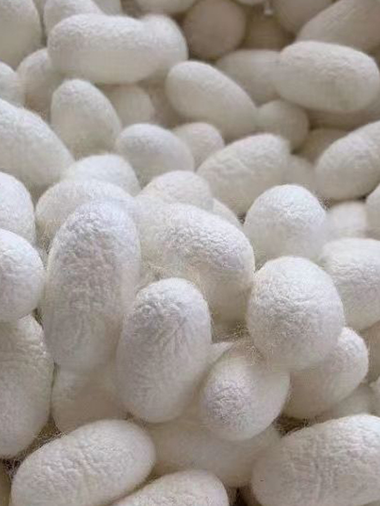 Self-raised natural silkworm cocoons can be made into complete silk quilts to make fans diy double palace dried silkworm cocoons