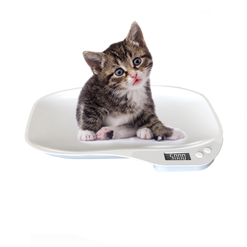 New 15kg Pet Weight Scale, Parcel Scale, Kitchen Nutrition Food Scale, Small Newborn Pet Weighing Device in Stock