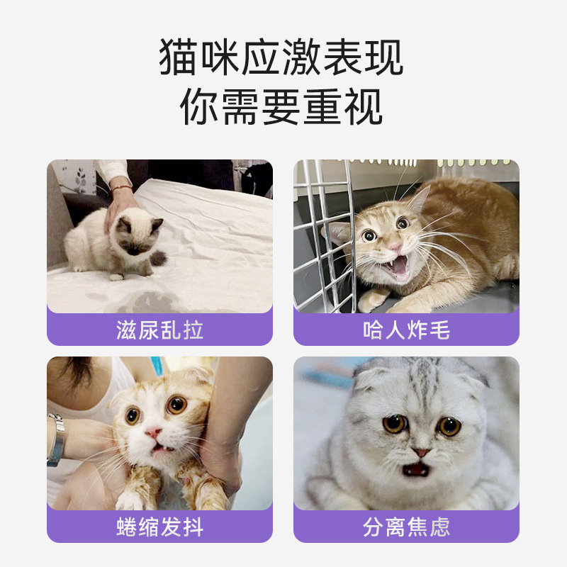 Pheromone Emotional Soothing Bead Patch for Heat Relief, Anti-Stress, Moving Cat Outing Emotional Soothing Pheromone