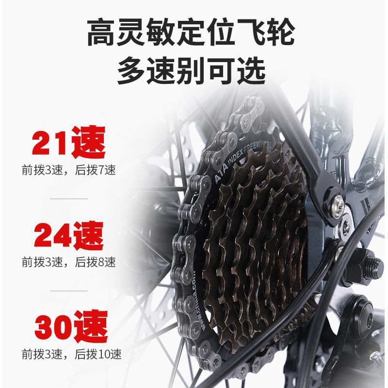 Flying Pigeon Long-Distance Travel Bicycle 700C Aluminum Alloy Frame Road Bicycle Oil Disc Brake Xima Variable Speed Riding