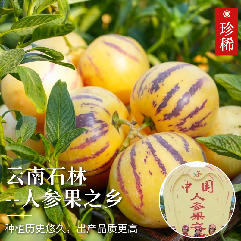 Yunnan Shilin Ginseng Fruit 4.5kg Fresh Fruit Tree Ripe Seasonal Yellow Flesh Round Fruit Gift Box Full Box Free Shipping