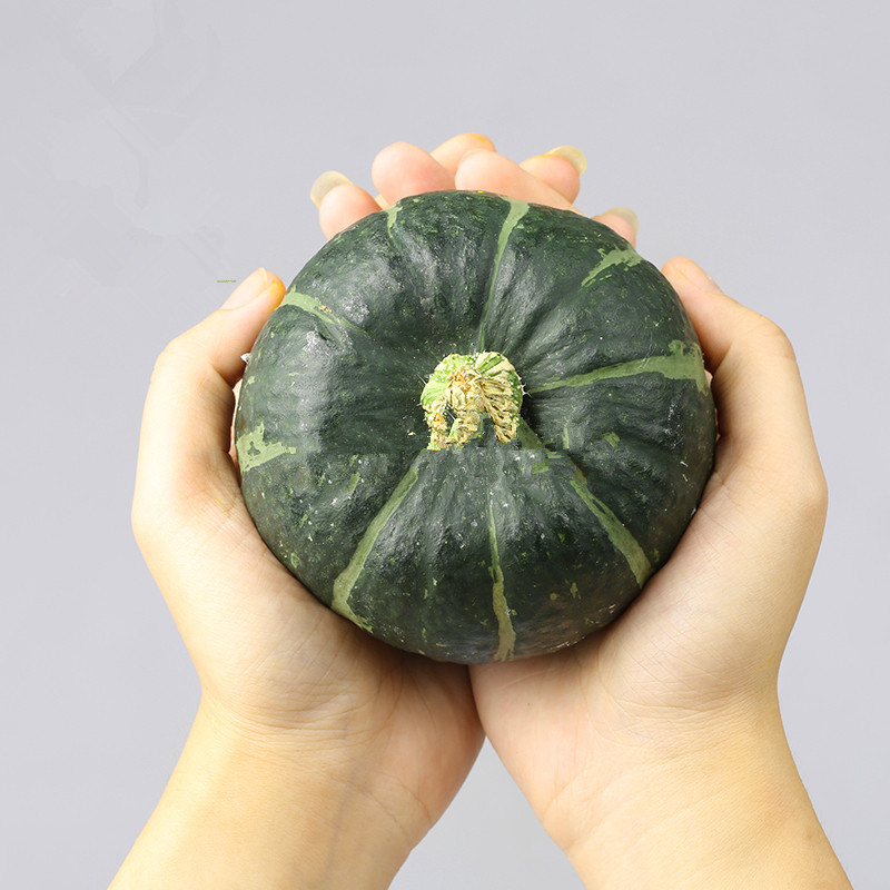 『Zhen Beibei Water Melon Packed』 Beibei Little Pumpkin Beibei Pumpkin Chestnut Flavor Little Pumpkin Fresh Vegetable Fans