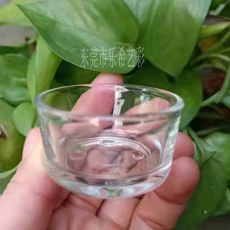 Прозрачная стеклянная чаша для еды для рептилий, чаша для воды, поилка для ящериц, змей, пауков, черепах и скорпионов