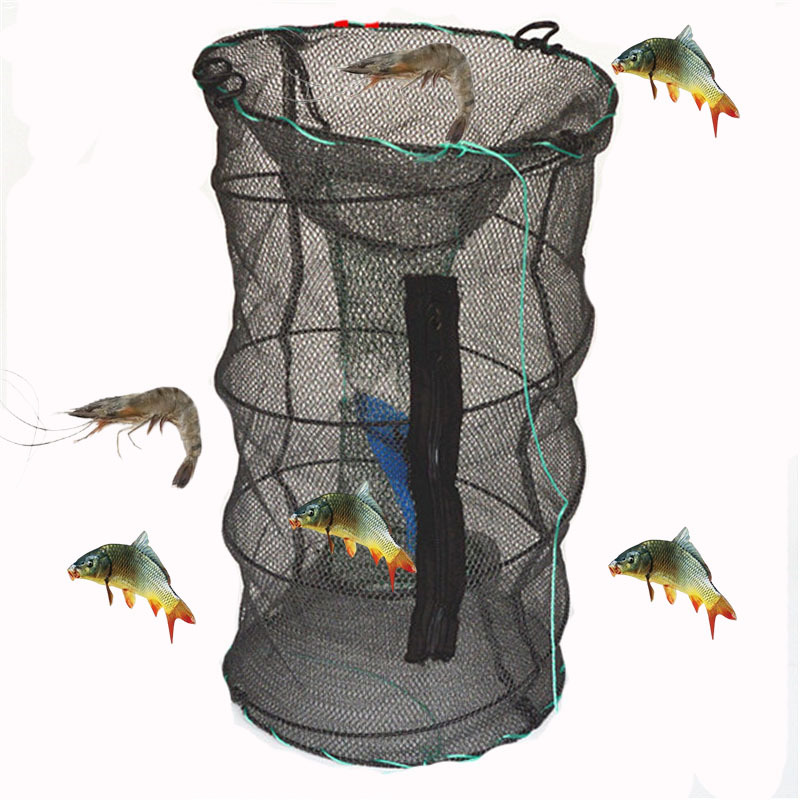 Small-Eyed Fishing and Shrimp Protection, Round Cage, Shrimp Fishing Net, Fishing Net, Crab Crucian Carp Net, Lobster Breeding Fishing and Fish Protection Cage