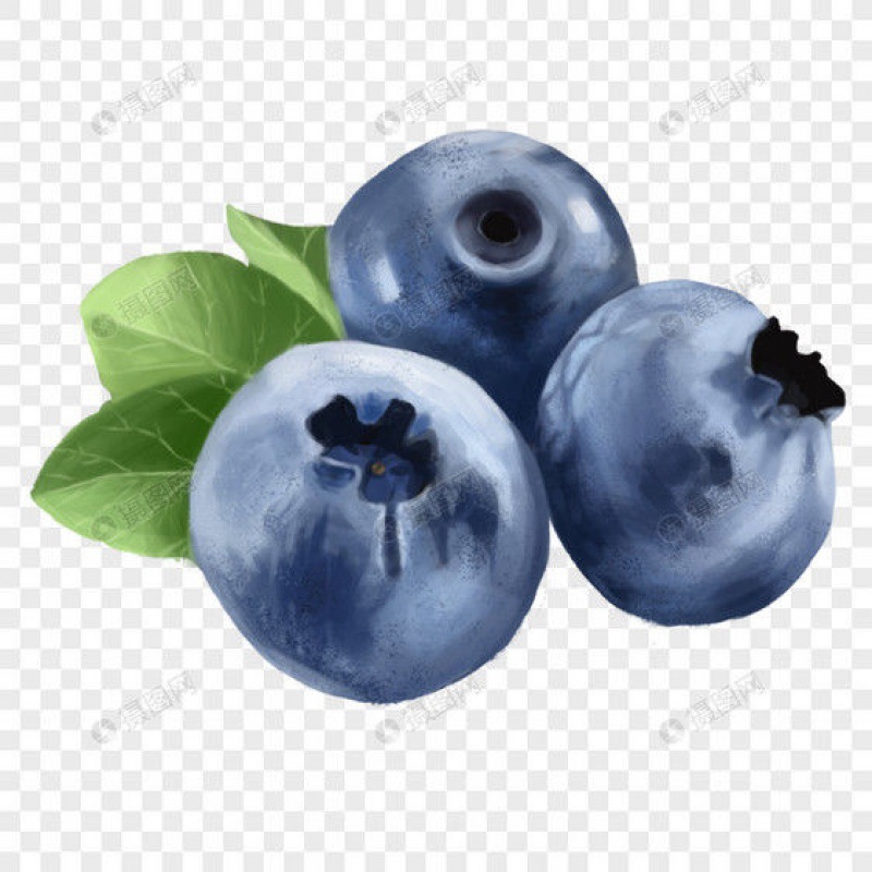 Freshly Picked Blueberries from the Place of Origin, Fresh Blueberries, Freshly Picked Seasonal Fresh Blueberries, Baby Food Supplement Fruits, Drop Shipping