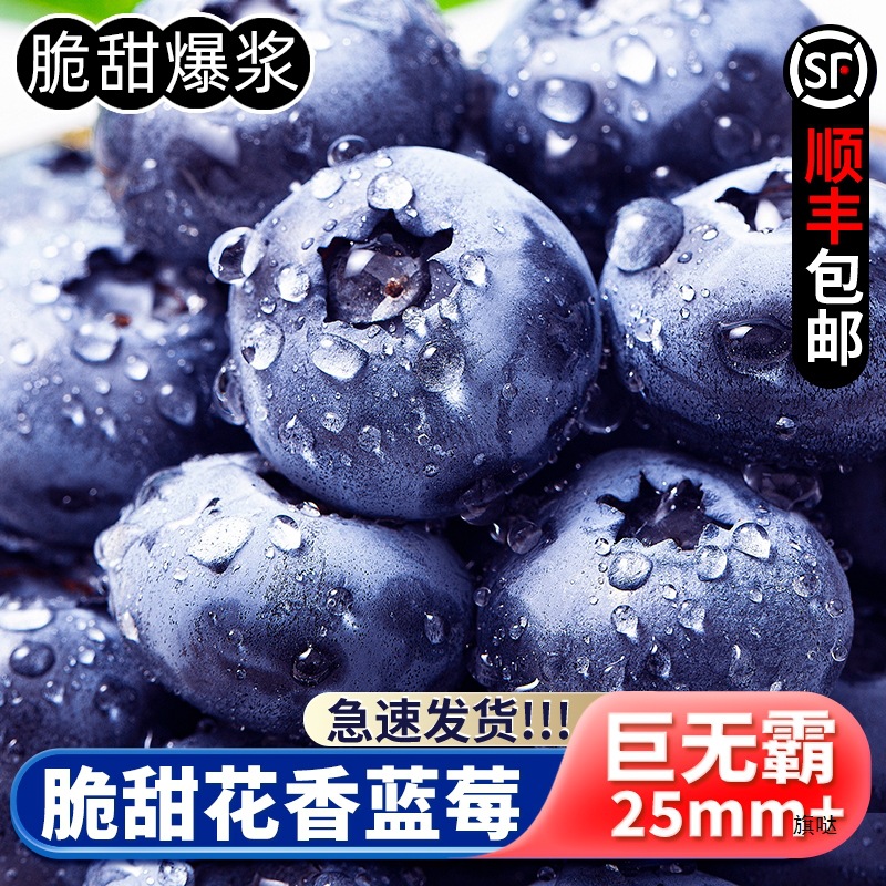 Альпийская цветочная голубика, свежие фрукты для беременных, цветочная голубика Shunfeng, крупные фрукты, не Юньнани