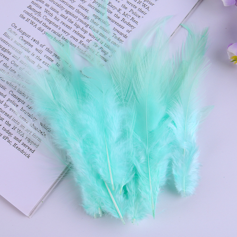 Factory direct diy handmade color feather chicken feather Crafts decorative feather accessories clothing accessories