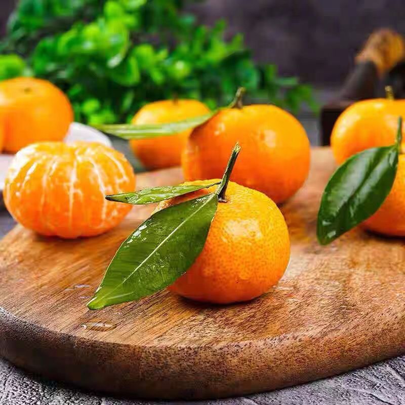 Freshly Picked Guangxi Sugar Oranges, Fresh Fruits with Thin Skin and Juicy Oranges, Super Sweet Sugar Oranges