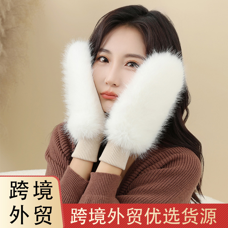 Кросс-бордерные зимние теплые перчатки, утолщенные, ветронепроницаемые, милые, холодозащитные, плюшевые, модные женские перчатки