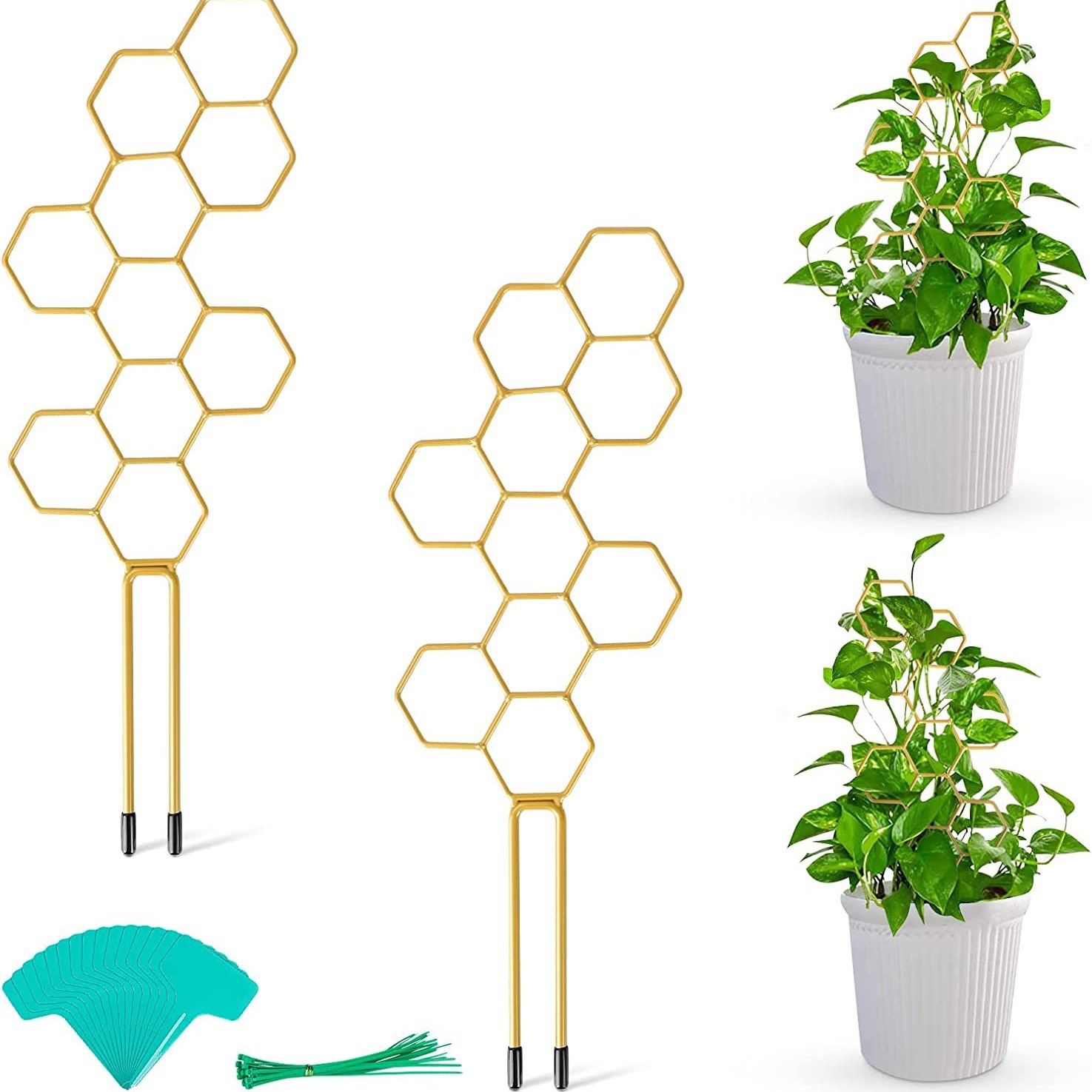 Кадр для растений, поддержка для вьющихся растений, креативный фиксатор