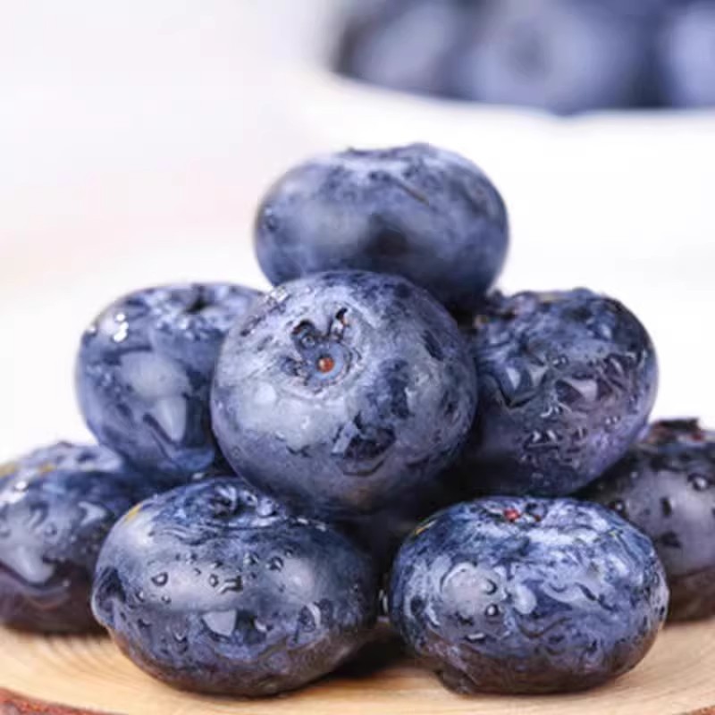 Yunnan Alpine Blueberry King Fresh Fruit Seasonal Fresh Fruit Freshly Picked Sweet Blueberries for Pregnant Women Large Fruit Whole Box Free Shipping