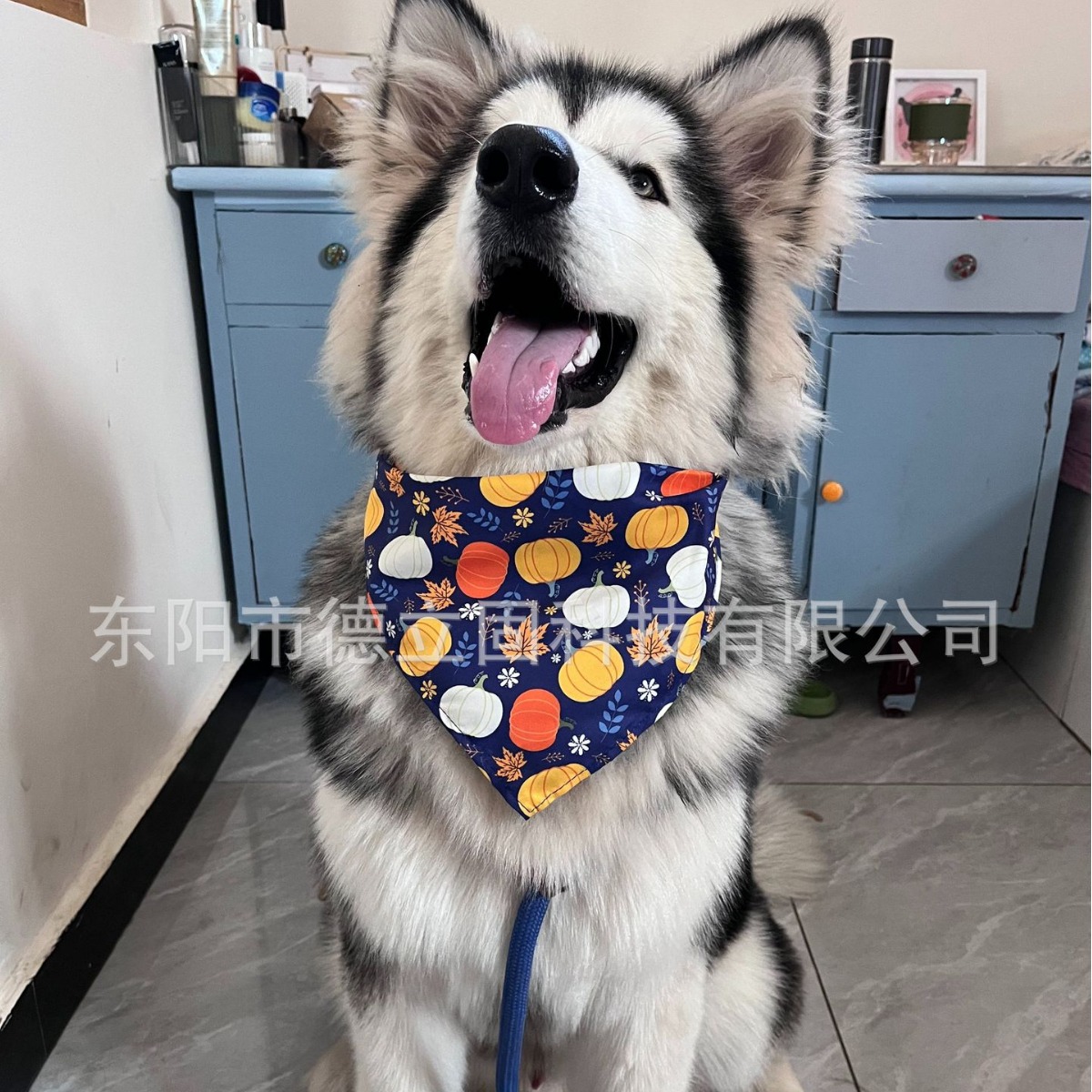 Pet Halloween Pumpkin Triangle Scarf Pet Clothes Pet Saliva Scarf Dog Saliva Scarf Cat Scarf