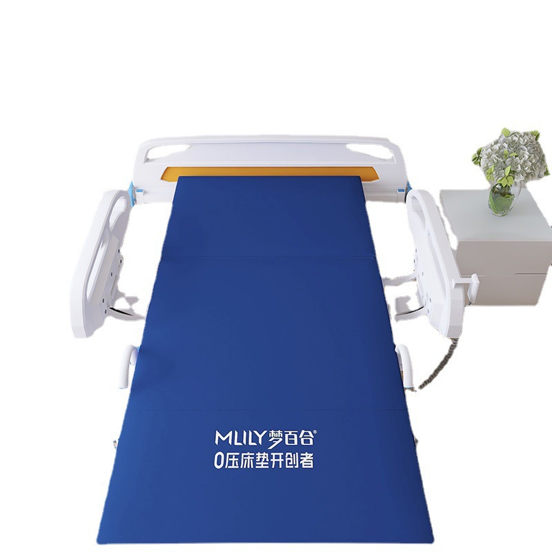 Dream Lily Alcohol-Resistant Flame Retardant Anti-Decubitus Hospital Bed Care Spine Protection Student Dormitory Mattress Memory Foam Thin Cushion